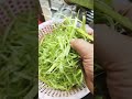 Trokon steak | Snack #shorts #shortvideo