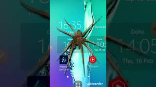 A spider on the phone is the best android application of 2023#shorts screenshot 1
