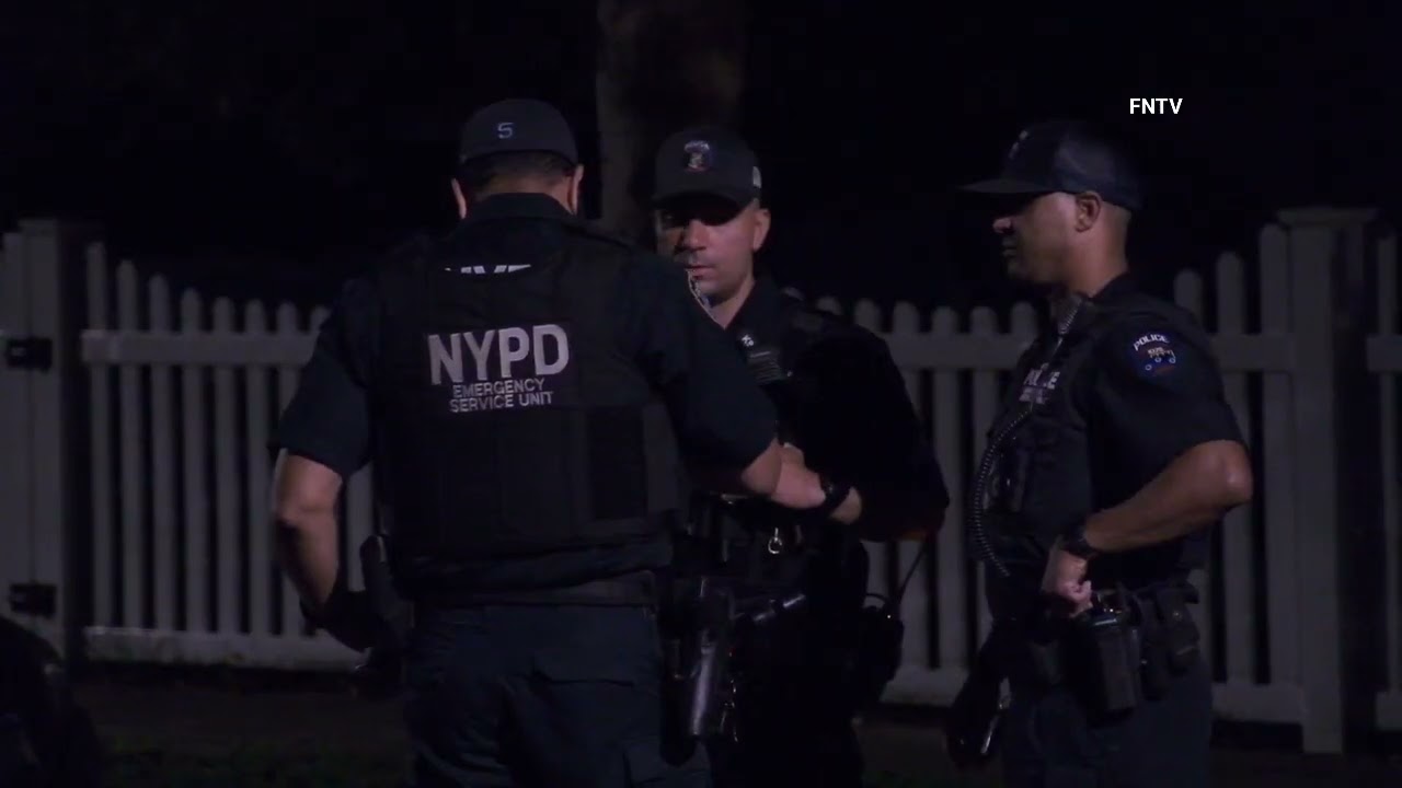 Several Cars Stolen From Lot Overnight Recovered On Nearby Streets - Staten Island