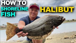 How to Catch Legal Halibut From Shore | San Diego Fishing