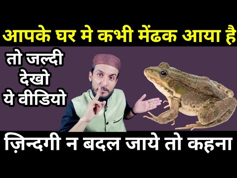 वीडियो: पोपी में कलाकार मेंढक क्या कहता है?