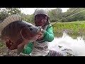 pescaria de tilapia na ultralight se uma ja é boa imagine duas #pescariadetilapia  #fishing