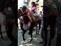 Kuda renggong ronal