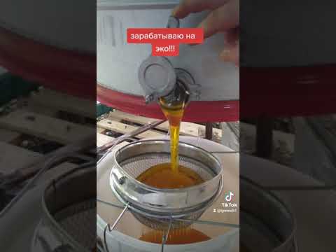 качаем мёд 2021г,пасека,пчёлы,эко