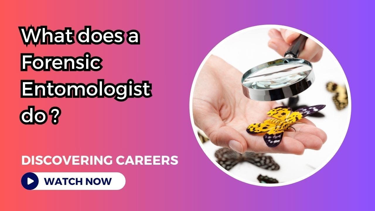 Discovering Careers | Forensic Entomologist