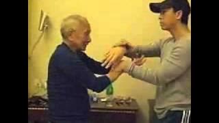 Ip Chun Donnie Yen Chi Sao