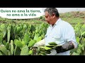 CONOCE LOS SECRETOS DEL NOPAL ✅ 🔝