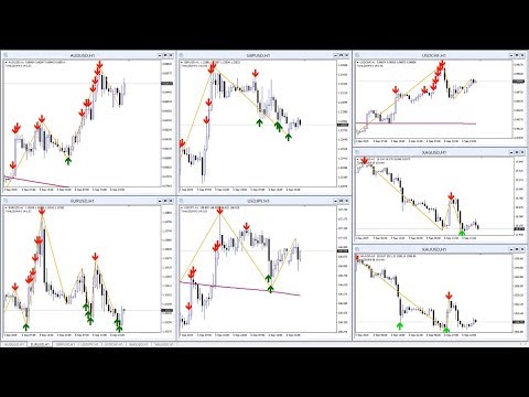 Forex signal chat room