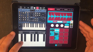 KOALA SAMPLER - Split Screen Workflow Tutorial