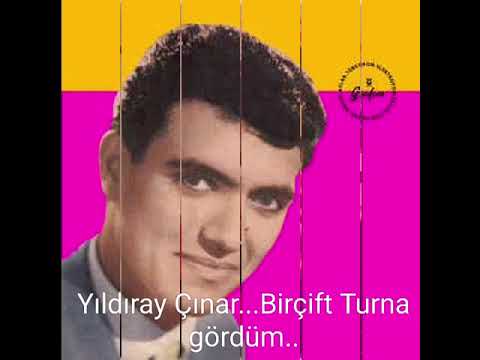 Yıldıray Çınar..Birçift Turna gördüm..