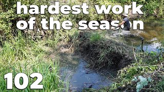 Giant Old Beaver Dam - It Was Really Hard Work - Manual Beaver Dam Removal No.102