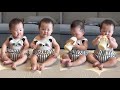 Cute identical twins  twin baby with dad