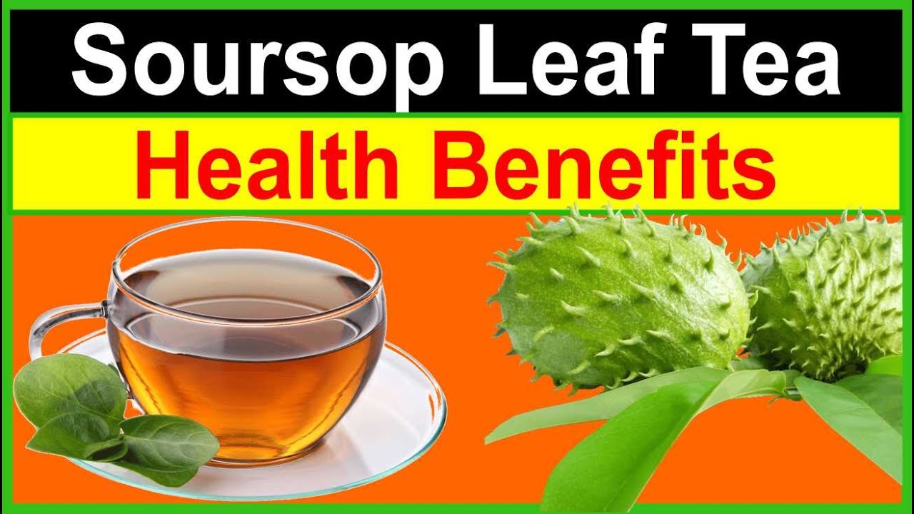 Reasons Why You Should Drink Sour Sop Leaf Tea