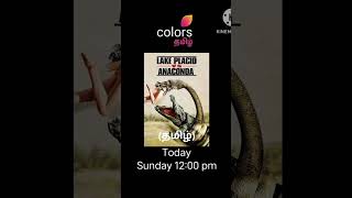 Today February 19th Sunday Special Premiere Movies List Enjoy the movies with channels