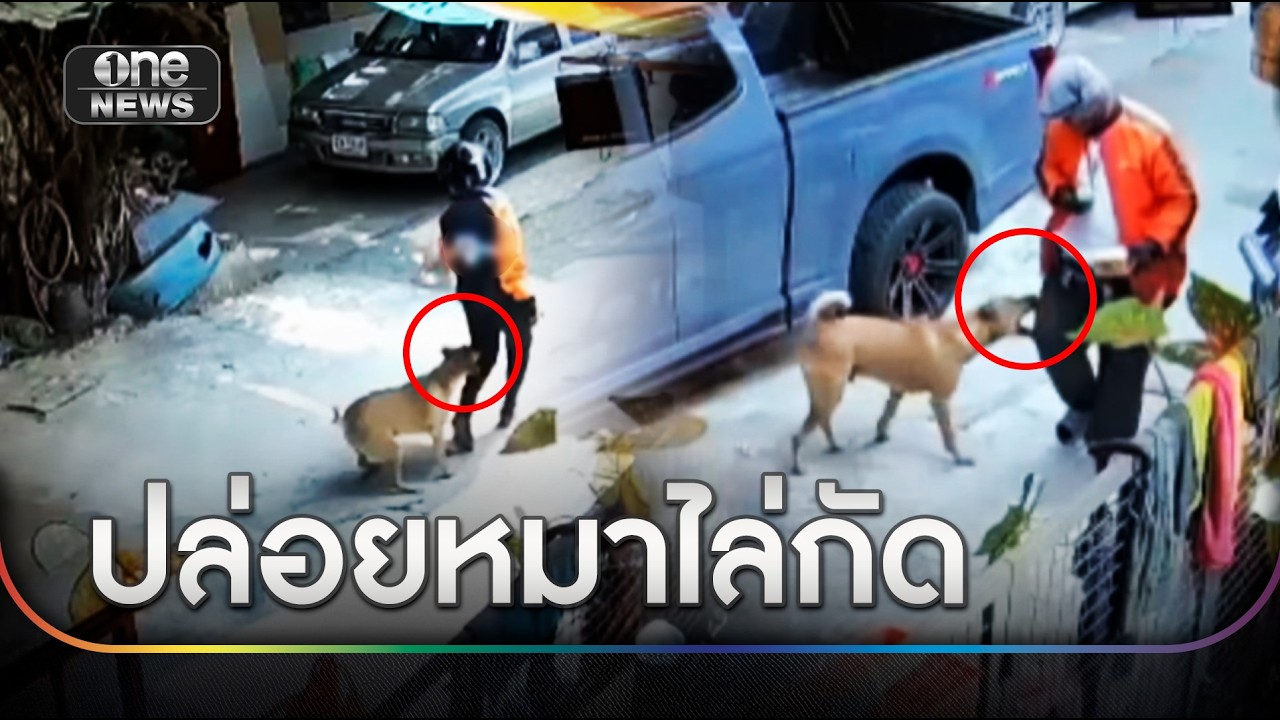 เพื่อนบ้านปล่อยหมาดุไล่กัดคน แจ้ง ตร. คดีเงียบ | ข่าวเย็นช่องวัน | สำนักข่าววันนิวส์