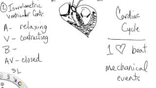 Chapter 18 Cardiac Cycle Step 2