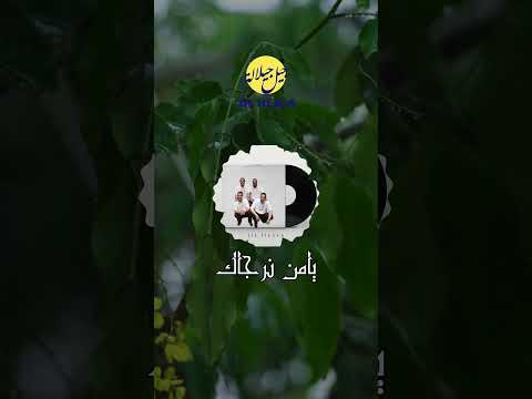 Jil Jilala Officiel يامن نرجاك Reels Shorts Jil Jilala جيل جيلالة Music Status 