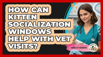 How Can Kitten Socialization Windows Help With Vet Visits? - Happy Cat Handbook