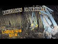 Koneellinen pajukonhoito | Lähteekö ketju? | John Deere 1070g