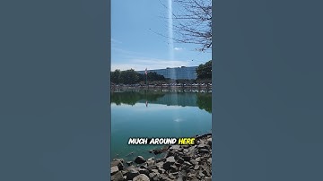 Visiting the Real LUMON Building from Severance (Bell Labs)