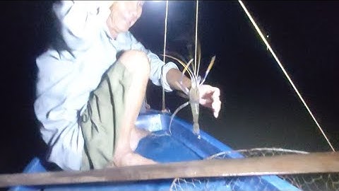 Câu tôm càng xanh bằng Câu giăng 