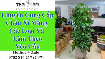 Mua Chậu Xi Măng Trồng Cây Cảnh Giá Sỉ - 0702 814 217