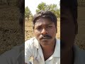 मे खेत मे जॉब पर आया हू गेहूं मे पानत कर रहा हू