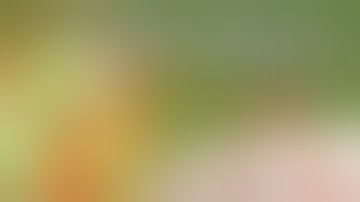 ANGRY ASIAN playing Getting Over It