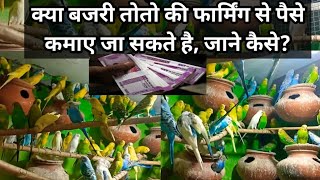 क्या बजरी तोतो की फार्मिंग से पैसा कमाया जा सकता है |How be can money From Budgies Farming in hindi screenshot 4