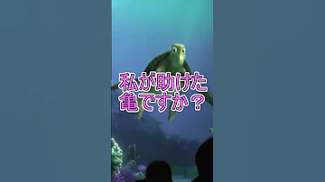 浦島 私が助けた亀ですか タートルトーク 東京ディズニーシー Shorts 