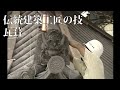 伝統建築工匠の技 瓦葺 Traditional architectural craftsmanship tiled roof