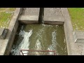 Malé vodní elektrárny na Ploučnici