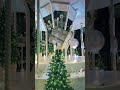 大阪のクリスマスデート新スポット。この後は3階のサントリーウイスキーバルが最高におすすめ。コスパ良くて雰囲気良くてご飯美味しいから喜ばれるよ🎄