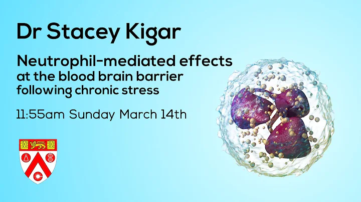 Dr Stacey Kigar: Neutrophil-Mediated Effects at the Blood Brain Barrier Following Chronic Stress