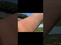 #クレー射撃#トラップ射撃#射撃#猟師#Shorts#ショットガン#サバゲー#fps#hunting#shooting#練習#排莢#散弾銃#Shootingrange #GoPro
