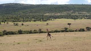 Maasai Mara National Reserve (Part-IV)