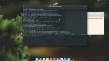 Install Elementary Tweaks in Loki