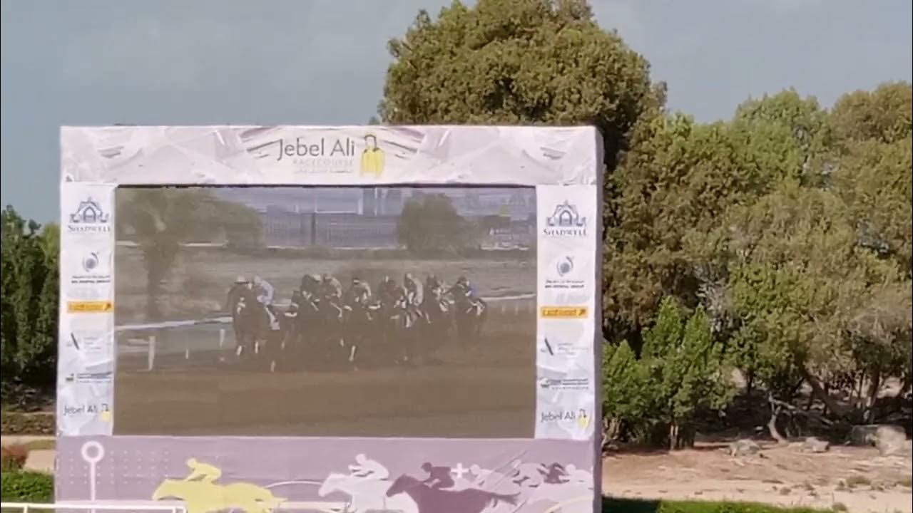 HORSE RACING AT JEBEL ALI HORSE RACECOURSE #horses # animals - YouTube
