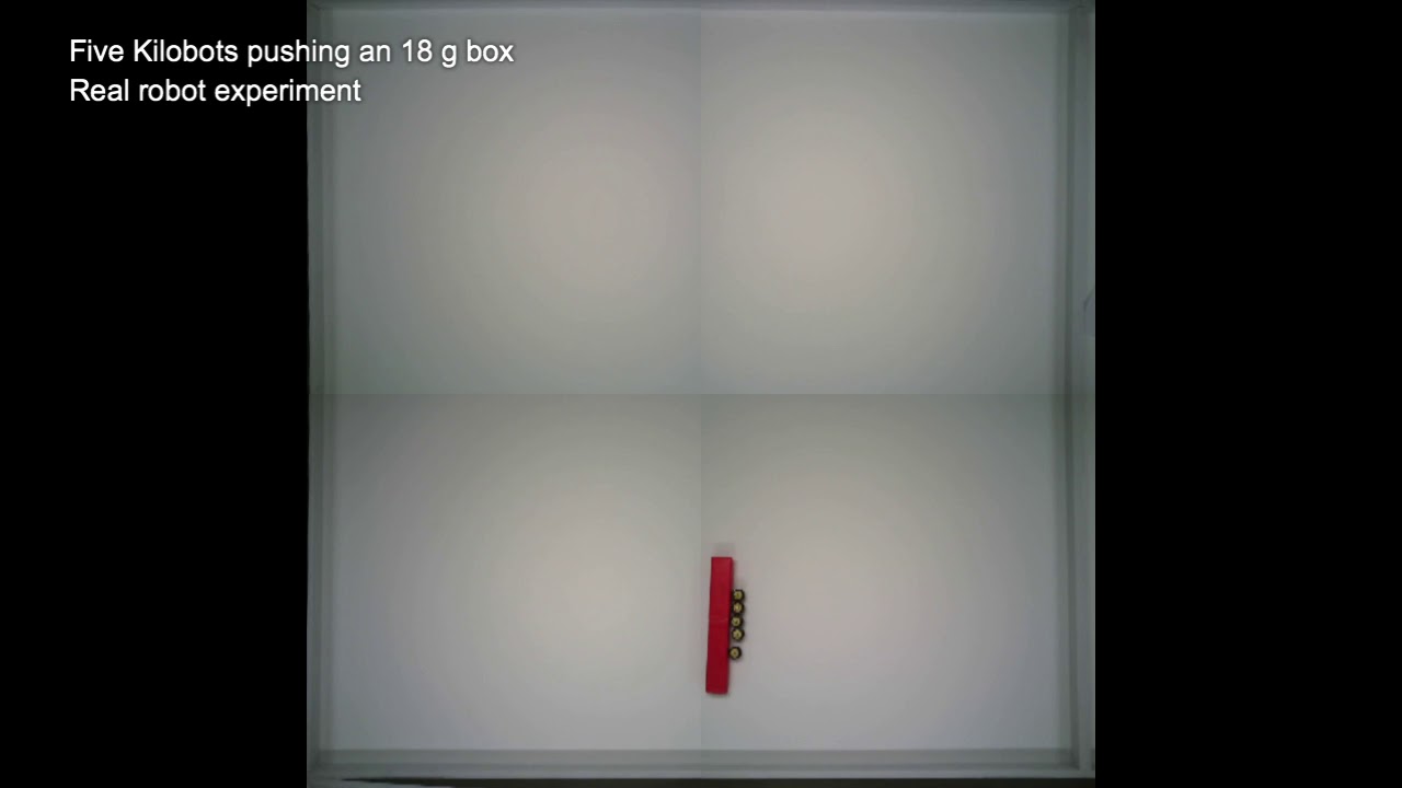 Kilobots pushing a box: Comparison between ARGoS simulation and reality ...