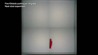 Kilobots Pushing A Box Comparison Between Argos Simulation And Reality