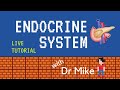 Live Tutorial: Endocrine