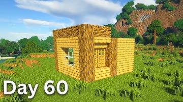 Building A House But Only Adding One Block A Day (Day 60)