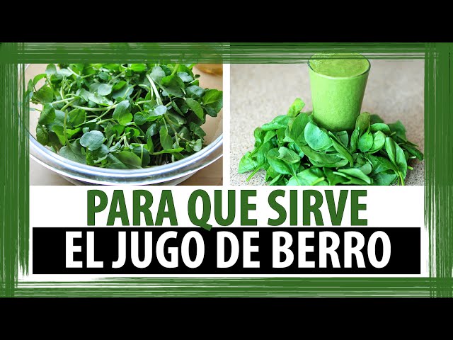 PARA QUE SIRVE EL JUGO DE BERRO | PROPIEDADES DEL JUGO DE BERRO class=