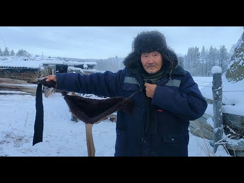 MELLTARTÓT KAPTAK A TEHENEK A HIDEG MIATT