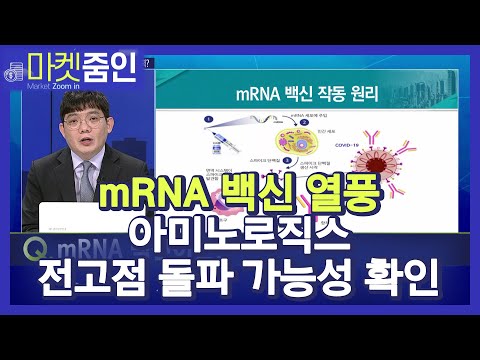 [마켓줌인] 아미노로직스, &amp;#39;<strong>mRNA</strong> 백신&amp;#39; 국내 생산에 탄력? / 머니투데이방송 (증시, 증권)