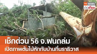 เช็กด่วน 56 จังหวัดฝนถล่ม เปิดภาพต้นไม้หักทับบ้าน จ.นราธิวาส | TNN ข่าวเที่ยง | 31-5-67