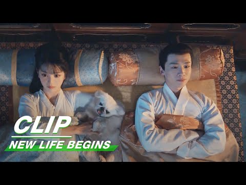 Yin zheng And Li Wei Sleep On Same Bed For The First Time | New Life Begins EP06 | 卿卿日常 | iQIYI