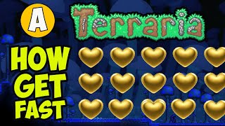 Terraria How To Get Life Fruit (2024) | Terraria How To Get Gold Hearts | Terraria How To Get 500 HP