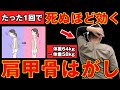 死ぬほど痛いけど死ぬほど変わる !10年溜まった肩甲骨の毒が流れる最強セルフケア!肩甲骨を剥がして内臓から痩せる方法お伝えします!
