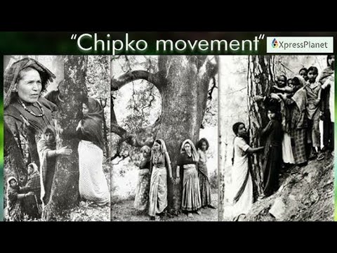 chipko movement essay in hindi language